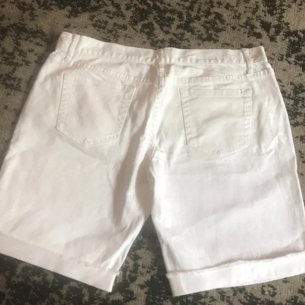 Cuffed Hem Shorts